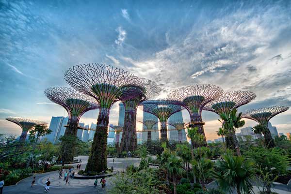Biophilic architecture gardens by the bay in Singapore